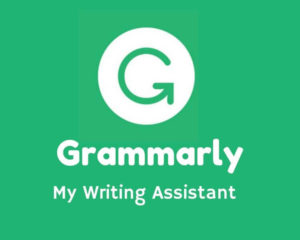 Buy Grammarly for Word Writing App